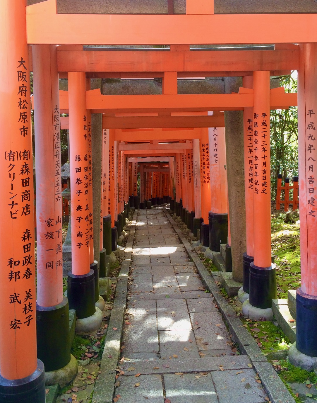 Fushimi Inari Temple to Relax from the busy digital nomad life!